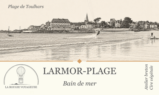 Larmor-Plage